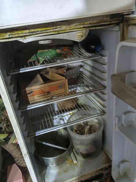 السلام عليكم ثلاجه شغاله كريز خارجي شرط التجميد النملات محل ورد نبيعهن سعر 100 عنوانا عنوان ناصريه حي التضحيه رقم الهاتف ***********
