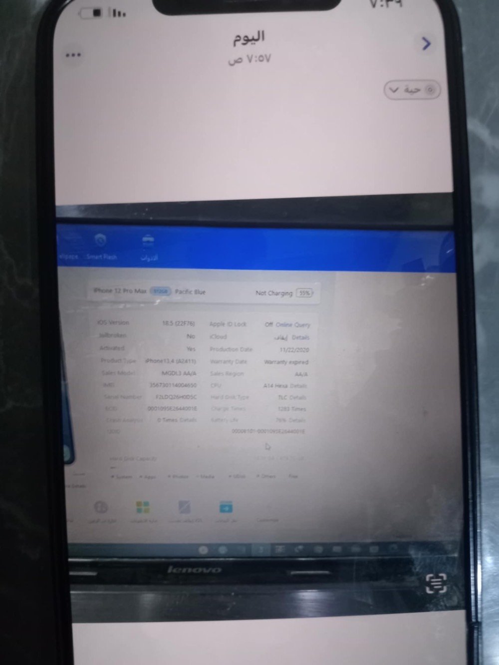 النجف حي الجزيره