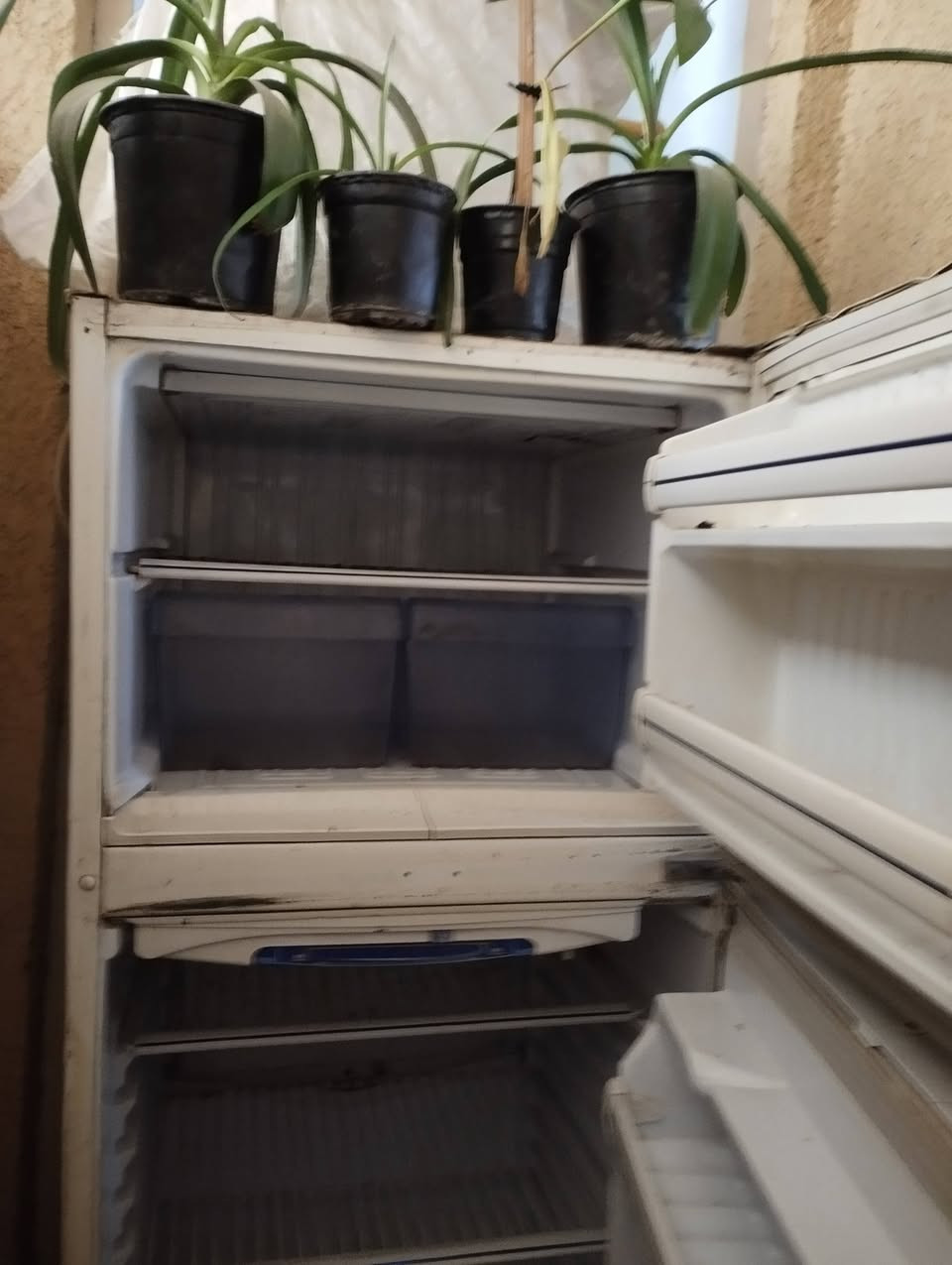 السلام عليم ثلاجه نوع كون كورد للبيع السعر 50 قفل شغاله الاتصال  ***********
