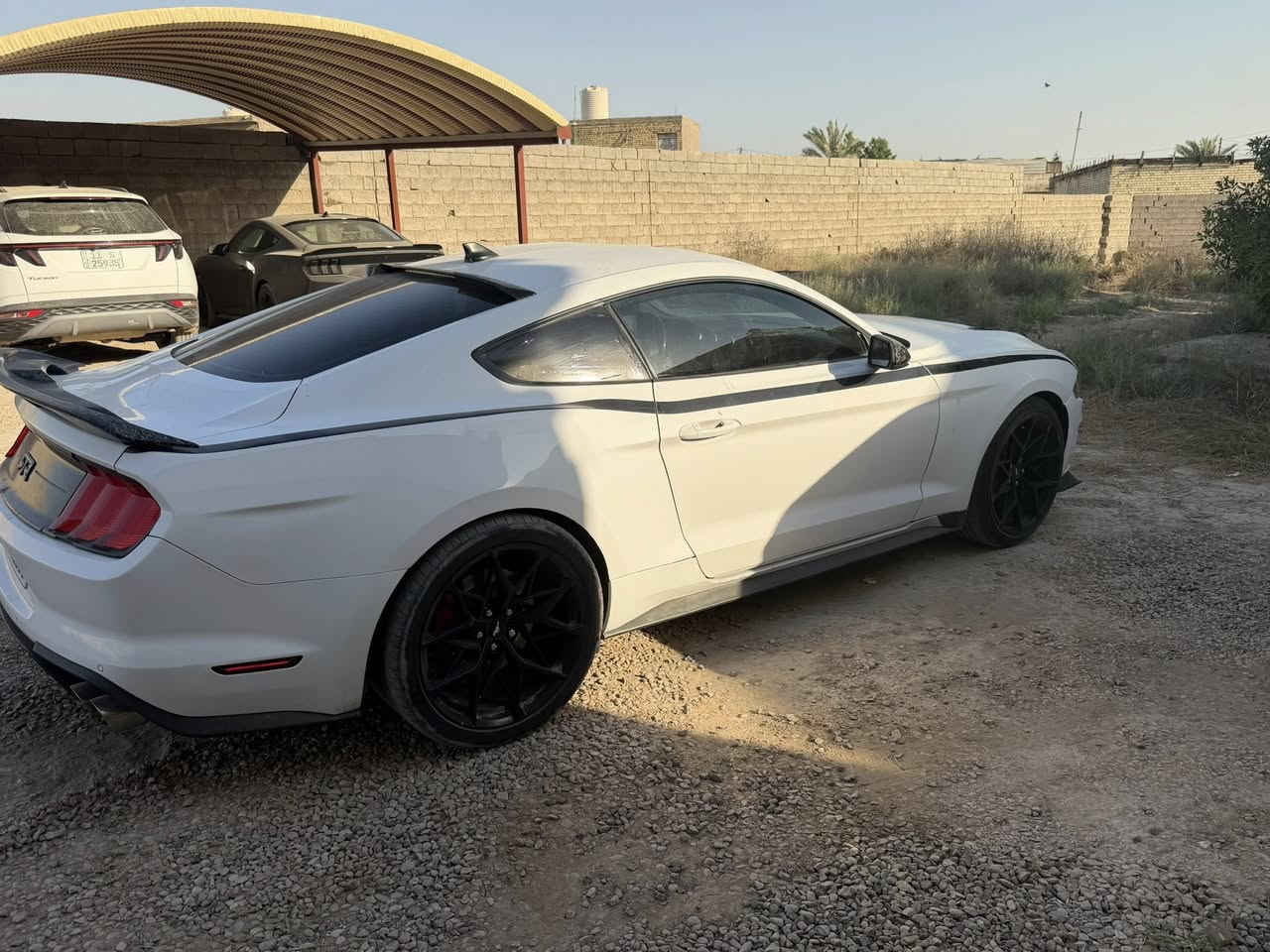 موستنك جيتي ٢٠٢٢اصل عليهه كت ارتي ار كير مكينه مكفوله ماشيه ٣٤ مكان بغداد بدون دواخل بدون شواصي  بيهه ٣قطع باب وجاملغ جهه السكن تبديل بلادي جاملغ الخلفي بيه صبغ شبرين فقط صدر تبريد كله جديد صوره الحادث خاص المكان بغداد  السعر ١٨٠ بسعر ٢٠١٧
***********
