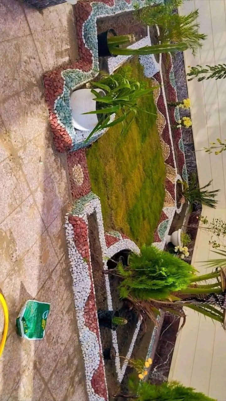 مستمرين بل ابداع
شغل حدائق منزليه
ب اسعار مناسبه


**إذا كنت صاحب هذا الإعلان وتريد حذفه لأي سبب، رجاءا أرسل رسالة إلى الدعم الفني**