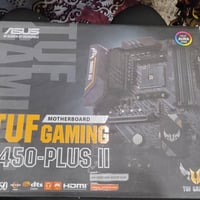 ريزن 4600G • بدون كرت شاشة • شاشتين