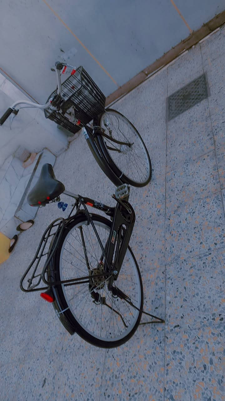 السلام عليكم من رخصت الادمن عند باسكل بايدر للبيع 
حجم 26 تايرات جديد باسكل جديد مال باله ياباني جاهز من كلشي بي قفل وسله ويا السعر 85الف وبي مجال  مكاني رمادي شارع 20 التواصل على هاذا الرقم ***********

(قابل المراوس)
