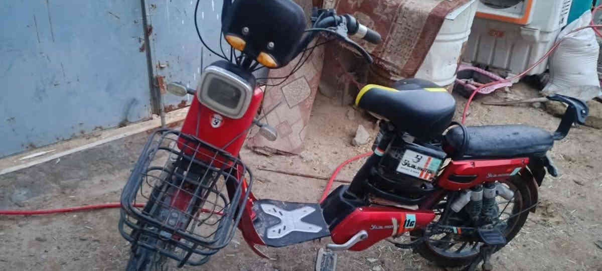 سلام عليكم بايسكل شحن للبيع شغال بطاريات شاحنة كلة بلادي تجي شوف بعينك  وشغلة  عنوان كربلاء  السعر 200وبي مجال 
هذا رقم صاحب البايسكل ***********
