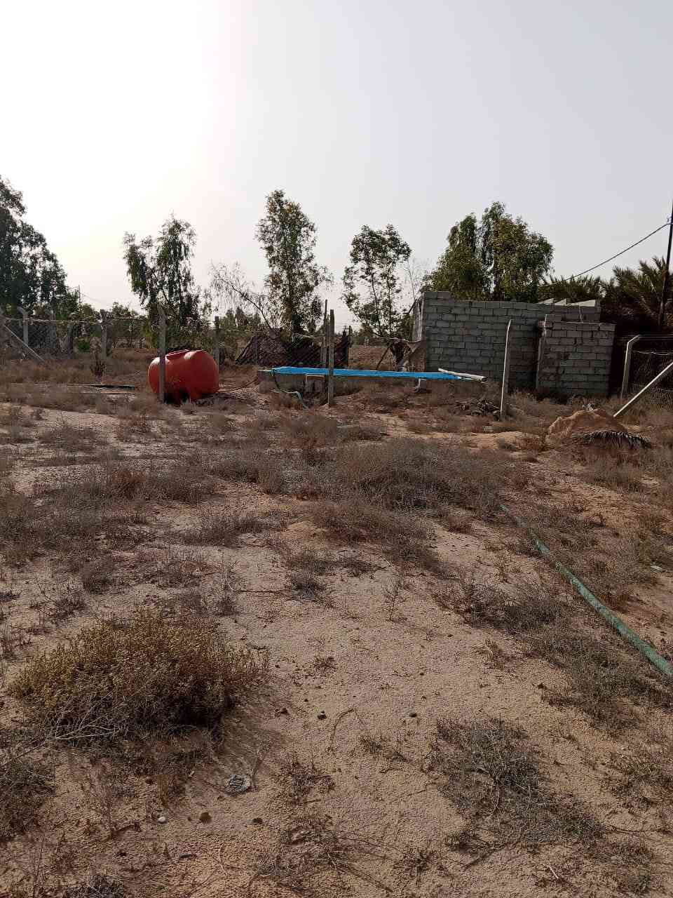 دونم اللبيع عمود ١٩٥ 
الشراي يتصل على هذا الرقم ***********
***********
