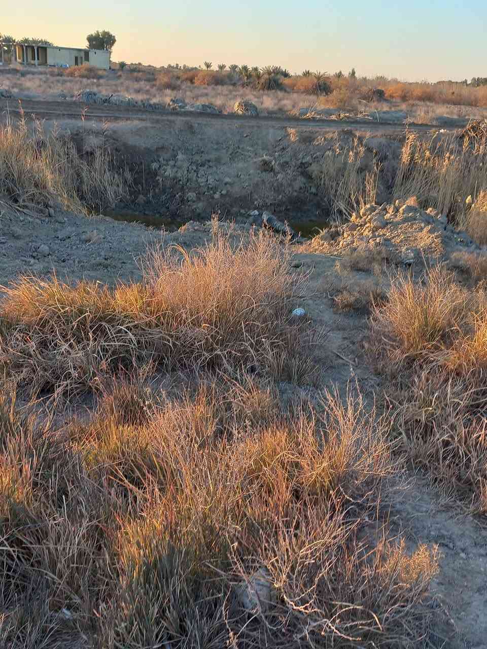 السلام عليكم ارض زراعية خمسة دونم مع بيت وحقل عجول سند٢٥ باسم شخص واحدمزروعة حنطة سعرمناسب خيكان الشوملي ***********او***********
