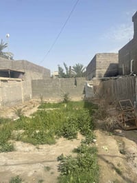 ارض زراعي • ١٩٦م • سند ٢٥