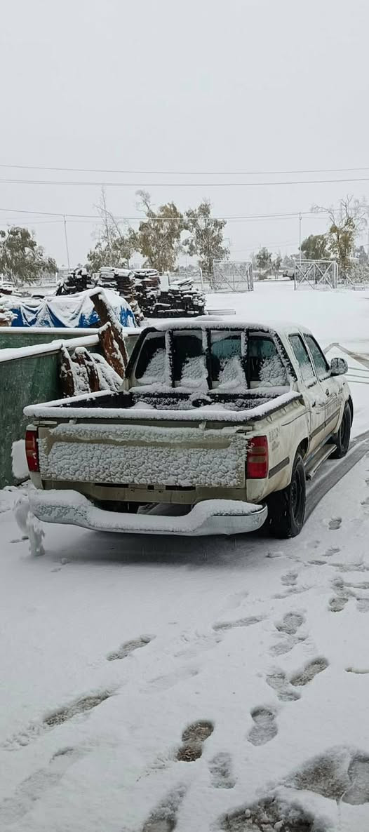 سڵاو. پیکاب ئەدمیڕاڵ 2008 ڕەقەم و سەنەوی نوێیه هەتا مانگی 10 ی 2030یە هەزەی  بۆ کراوە هەزەی نوێیە ناو سورە هەر چوار جامی کارەباییە ئاوێنەی کارەباییە قوفڵ مەرکەزیە سەیارەکی توند و تۆڵە بێ کێشە و بێ مەسرەفە غەرامەی 210 هەزار لەکاتی معامەلە پارەکە وەر ئەگریەوە هەر چوار بەرەدەرکەی نوێیە و تازە بۆم کڕیوە هەر چوار تەکەری لە سەتا 60ئە ماڵی دۆستە شوێنمان هەولێر بۆ کڕین پەیوەندی بەو ژمارانە بکە 
کۆڕەک: ***********
زین:    ***********
