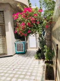 طابو زراعي سند 25 • حي الصحه الحلة • 150م