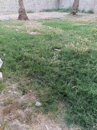 بغداد الراشديه • ٤٥٠م • طابو زراعي