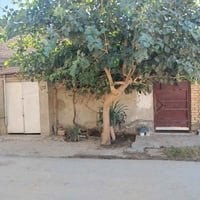 بابل المهندسين • ١٠٠م • طابو زراعي ٢٥