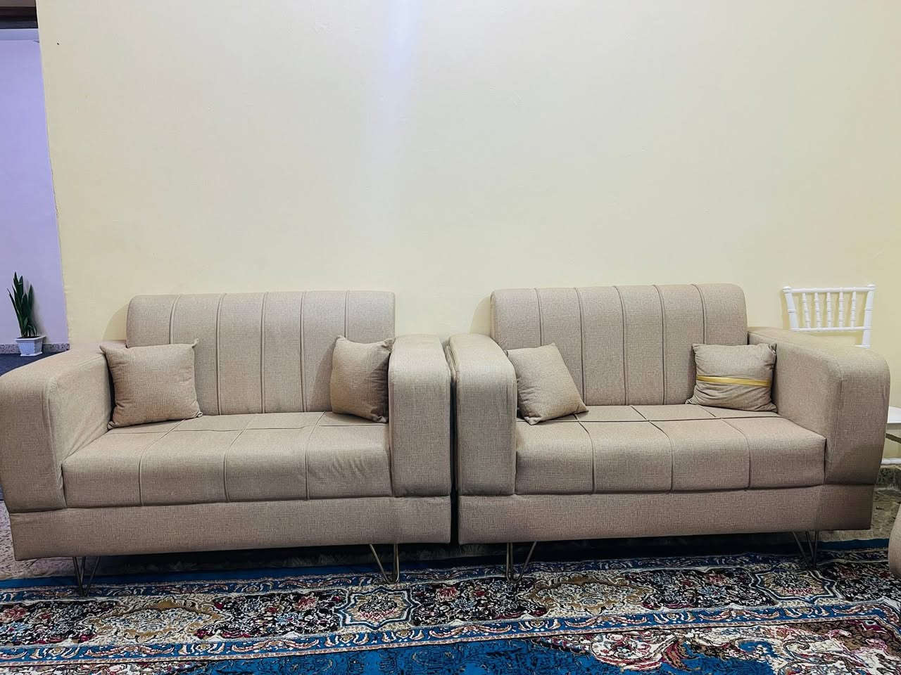 تخم ونص تسكام عراقي السعر ٦٠٠ والزوليه العرض ٤ والدول ٦ سعرها ١٥٠ المكان بغداد حي المعالف قرب تقاطع درويش مينزل ربع دينار منهم سعر ثابت


**إذا كنت صاحب هذا الإعلان وتريد حذفه لأي سبب، رجاءا أرسل رسالة إلى الدعم الفني**