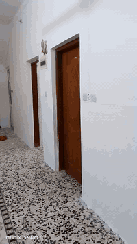 صبغ نثر ترميم تصليح داخلي خارجي حديد ابواب شبابيك *********** واتساب أو خاص نعمل  بجميع مناطق بابل
