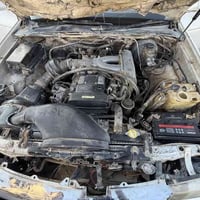 لون صدفي • محرك وكير شرط • شركاط الجرناف