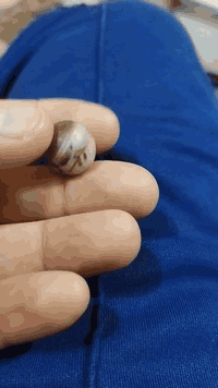 متاح ***********مكاني كوت
