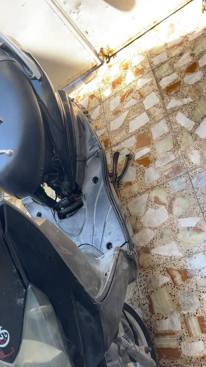 درجه سكنس فحل للبيع نضيفه دراجه علىً اخر درجه وبيها شغلات تزويد مرتبات كلجات على بنزات صاالنصه وشوف العين دراجه فقط كاطعه زنجيل لا اكثر ولا اقل سعرها ٣٥٠وبيها مجال حك جيه فقط اتصال واتساب ما متواجد فيس رقمي ***********
