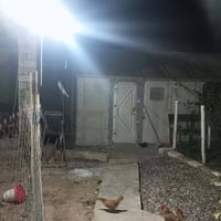 بل البستان الشيوخ • ٢٤٠م • مي كهرب مسيجه