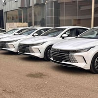 بي واي دي دستروير • ٢٠٢٥ • داخل ابيض