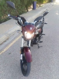 هوجي كلاسيك • ١٠٠ • ٢٠٢٣