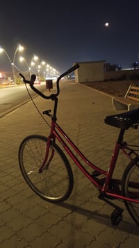 بايسكل • ٢٠ بوصة • ياباني ٢٠١٩