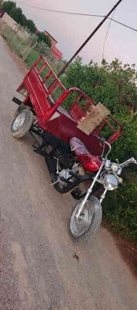 أم الطير • بدون أوراق • خان بني سعد ديالى