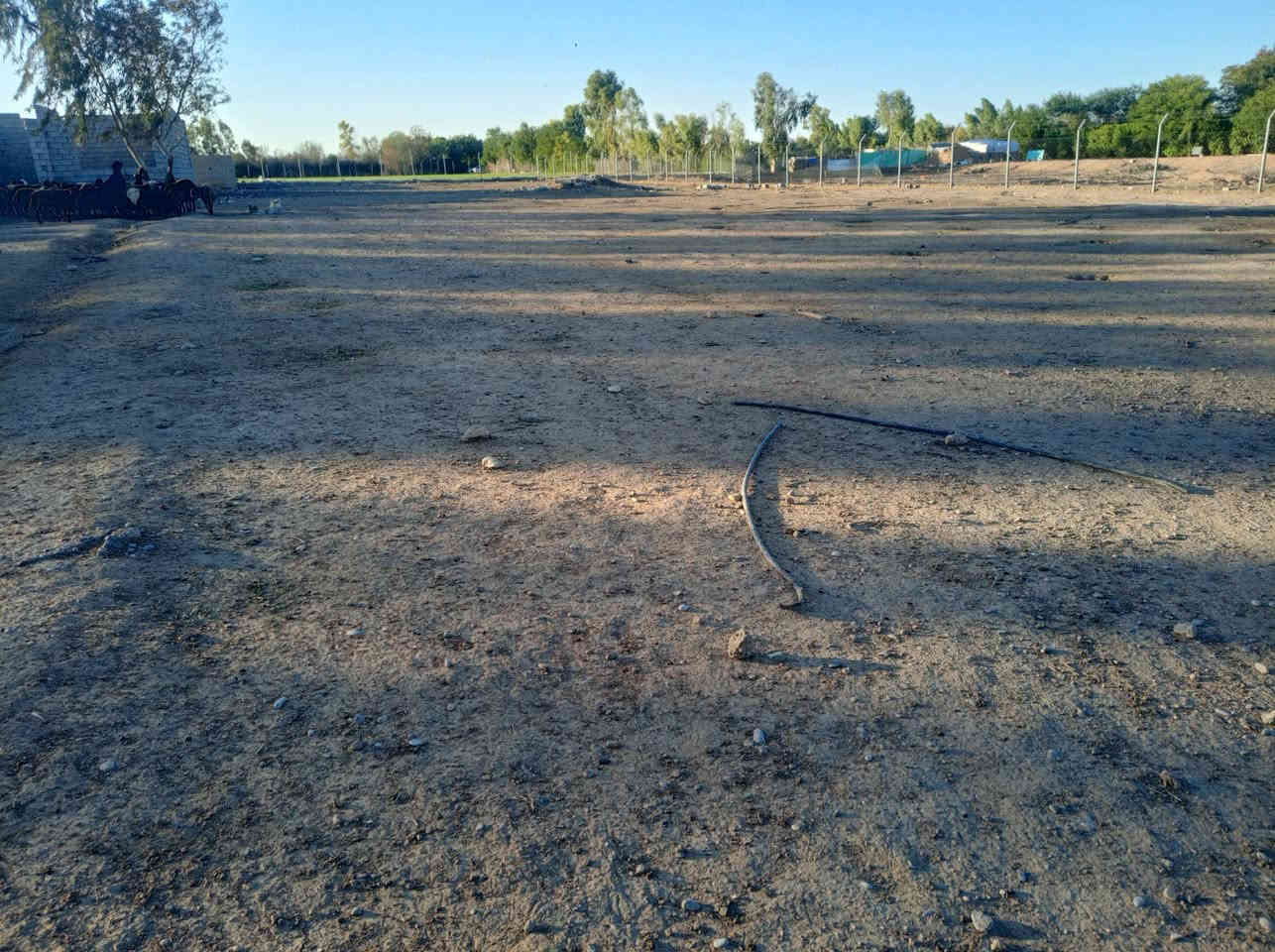 کۆدی ڕیکلام •30
ناونیشان/📍/  کەلار~صالح ئاغا~ بەرامبەر نادیکە ئەرۆیتەناو بەر دەم چۆڵ 

💢لە دەست خوتانی دەر مەکەن 
نرخی گونجاوە 💢

ماڵی کاسیبە بۆ ئاژەڵ داری بۆ فەلاحەت بۆ هەموو شەتێک ئەبێت 

هەمیشە نووسینگەی صالح ئاغا محمد پێشنگە لە ماڵی جوان هەرزان 

~~~~~~~~~~~~~~~~~~~~~~~

نرخی 110گەلاو معمەلە ماڵی فەقیرە 

🌳باخ بە رووبەری  (#یەک دۆنم و #نیو)🌳 

🏠هەیکەل 200متەری گەورەی تیدایە 

🔻جیگایەکی خۆشی هەیە 

⭕️ هیچ کئشەی لەسەر نیە 

🔻جیگای بەخیو کردنی ئاژەڵ تیایە 

🔴 کامل سیاجی بۆ کەراوە 

~~~~~~|
~~~~~~~~~~~~~~~~~~~~~~~~~~~~~~

💸کۆمێنت بنووسەزانیاریتەواوتان پێ دەگات

📠 بۆ زانیاری زیاتر پەیوەندی بکەن بە ژمارە 
                             
☎️￼⁨*********** نووسینگەی صالح ئاغا محمد
