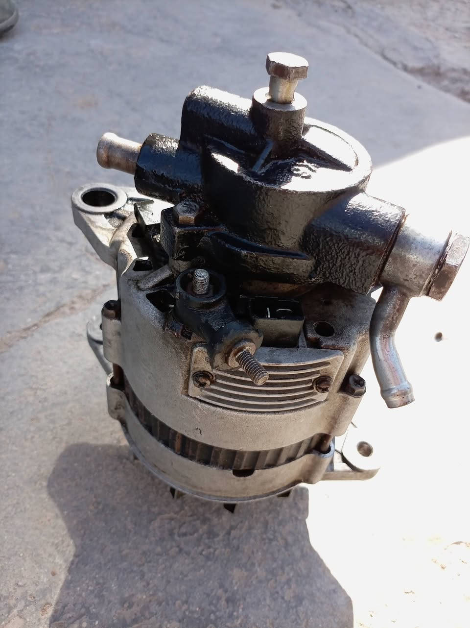 شغالات كلهن ***********
