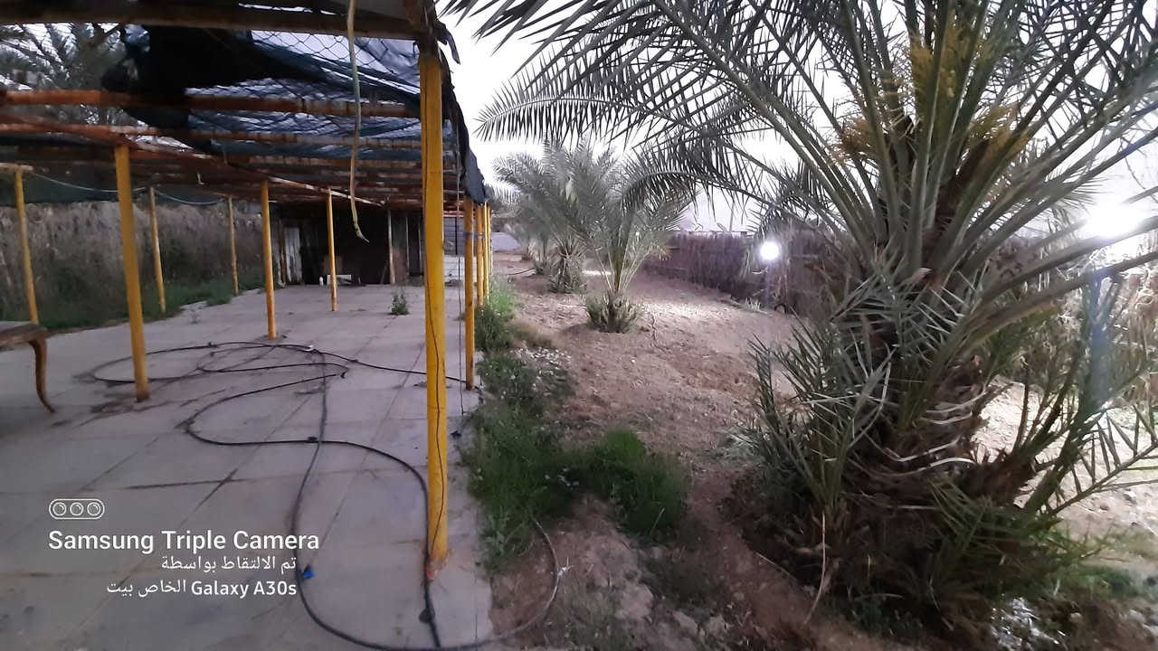 موجود دونم طابو زراعي حق التصرف بمنطقة العزيزية
--- السلام عليكم 

بيع مستعجل

**أرض للبيع – مساحة دونم – واسط العزيزية تبعد عن بغداد اقل من 40 دقيقة **

- **جنس الأرض:** طابو عقد 25، تحويل مباشر للمشتري.

- **الموقع:** تبعد 200 متر عن الشارع، وتحتوي على شارع خاص بها. تبعد عن مركز المدينه ٣ كيلو فقط 

- **الخدمات المتوفرة:**

  - خط كهرباء.

  - ماء إسالة.

  - بئرين.

- **الأشجار والمحاصيل:**

  - نخيل برحي ومكتوم.

- **مميزات إضافية:**.

  - منظومة سقي كاملة.

  - كرفان بمساحة 12×12 متر مع سقيفة بي آر سي.

  - محاصر للحيوانات.

السعر الارض :- 75 مليون 

ملاحظة:- تصلح سكن

**للاستفسار:**  

الرجاء الاتصال على الرقم: ***********

---
