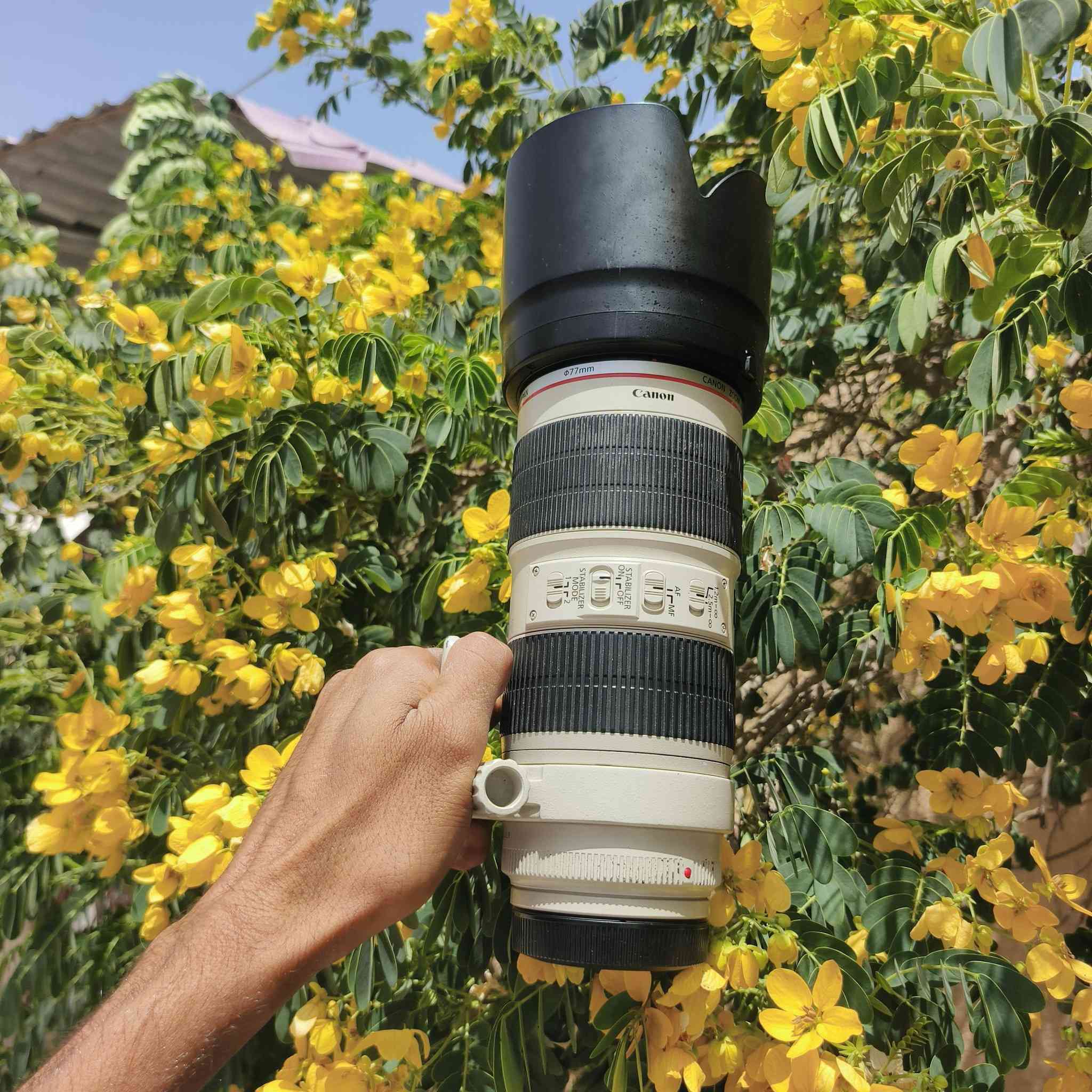 السلام عليكم
غراض للبيع 📸
1- عدسة رياضية 70/200 فتحة 2.8 إصدار الثاني
2- عدسة 85 سكما فتحة 1.4
3- عدسة 50 ملم فتحة 1.8
4- أدبتر جديد بالكارتونة
5- شاحنة وبطاريات للبيع
والي ياخذهن كلهن إله عرض خاص 🔥
📞 رقم الاتصال / آسيا وواتساب:
***********
***********
الأسعار خاص
