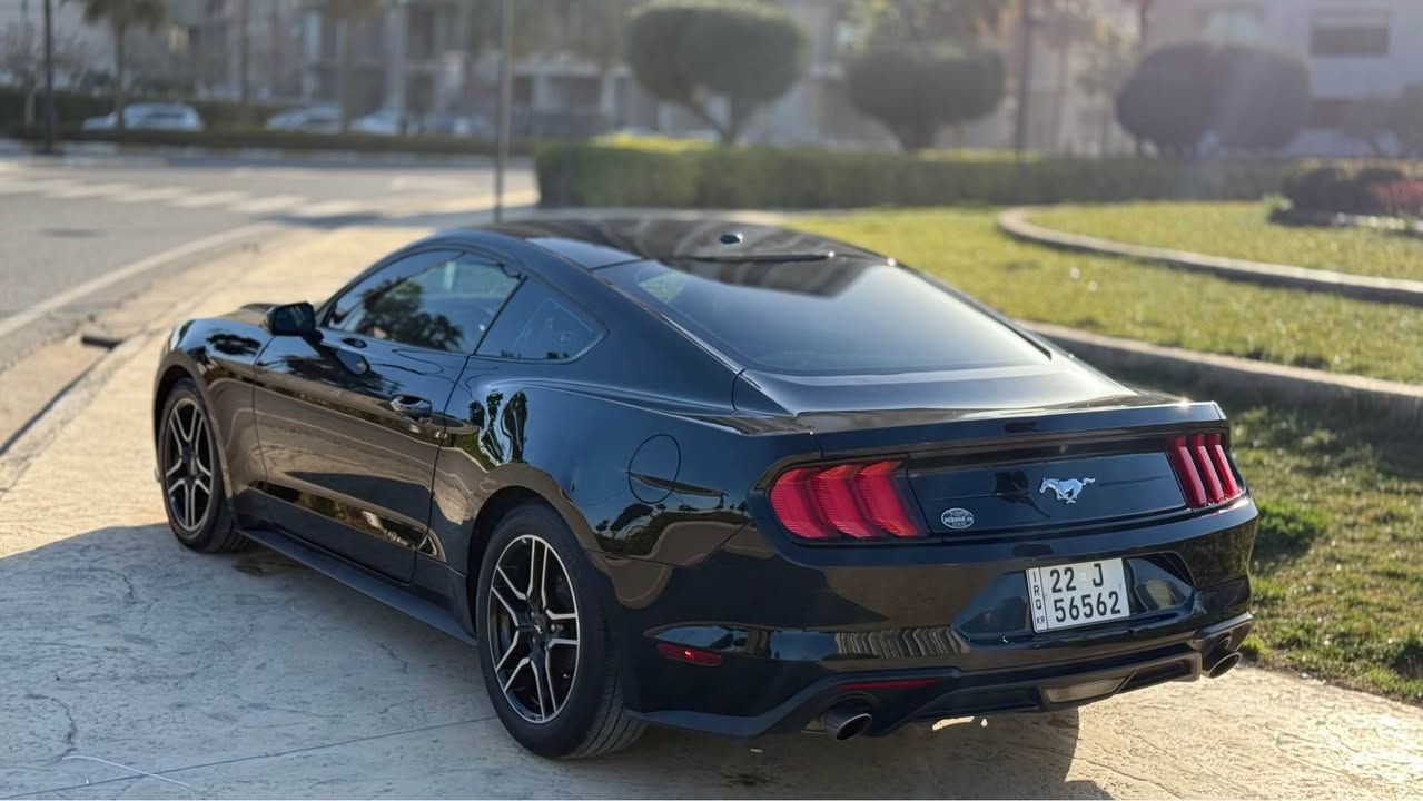 موستانج ايكو بوست ٢٠١٩
ماشي ٧٨ الف
محرك٢.٣ تيربو ٣١٠ حصان 🐎 بشرت ما مفتوح
حادث جاملغ صبوغ باب مبدل بلادي
ارباك بس تكمه
سنوية - رقم - فحس - هزة كل جديد
عنوان اربيل شارع ١٠٠
شركة ريبوار سالار صالح
***********
***********
*********** أربيل, العراق
