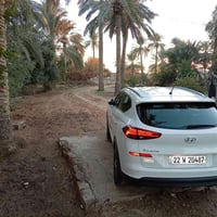 توكسون • ٢٠١٩ • رقم أربيل