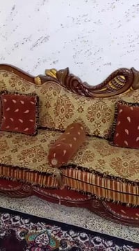 تخم للبيع ١٠مقاعد  ٠٧٧٠٠٧٣٦٤٨٥