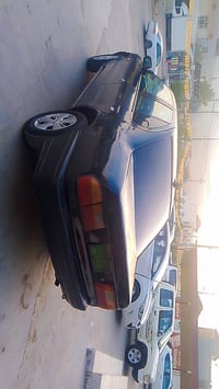 بريما • ١٩٩١ • عميدي