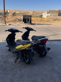 ماكسات • ثنين • شرط