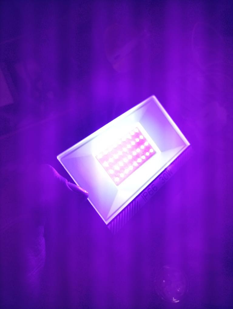 سڵاو بەڕێزان ئەم ۲ بلاجکتۆرەم هەیە ۳۰ واتن 
تیشکی گڵۆپی دوپشکە وابزانم کێ موشتەریە سعرم باتێ 
*********** السليمانية, العراق
