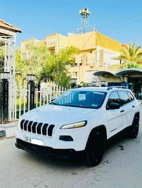 جيب بزون • ٢٠١٧ • رقم بصره