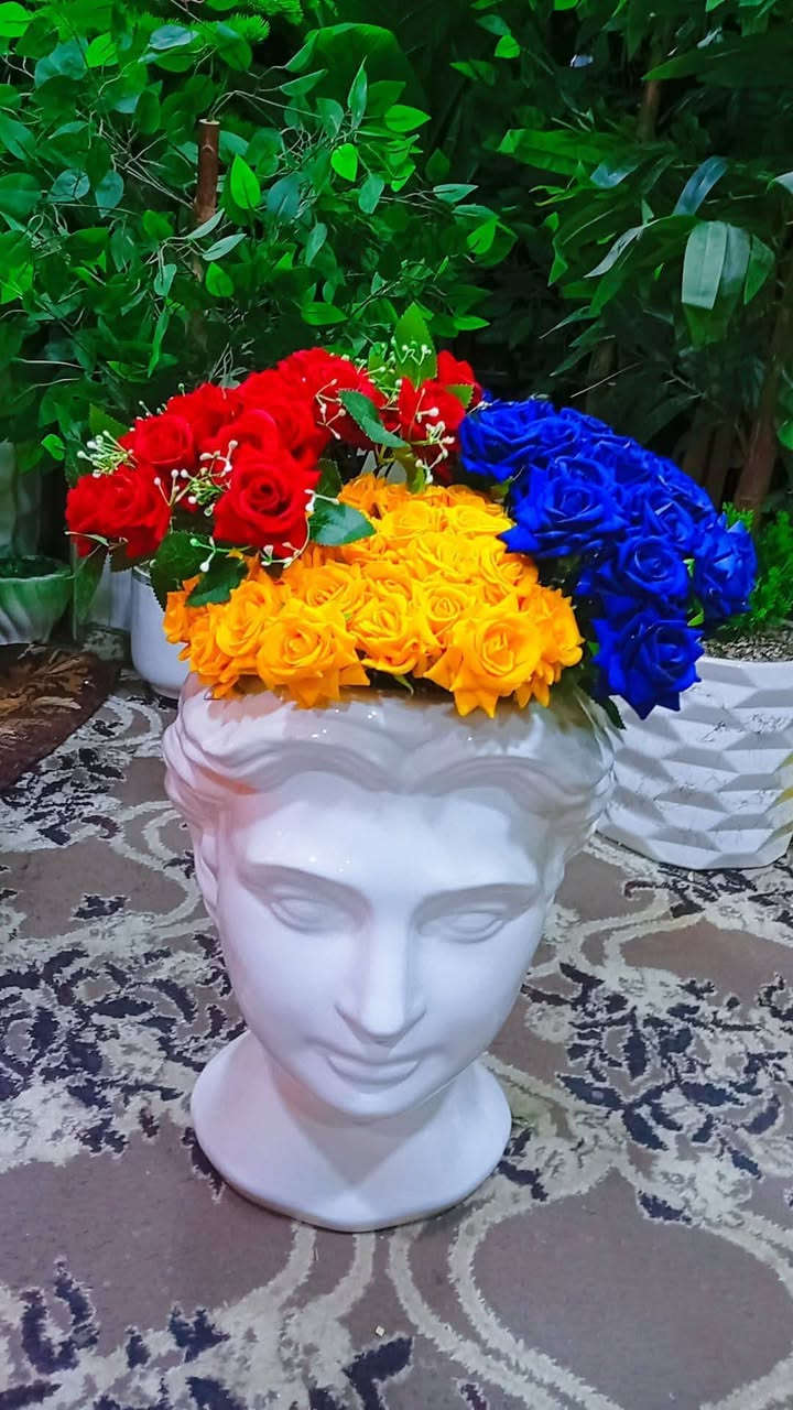 سدانه حجم كبير  50طول سعر 15


**إذا كنت صاحب هذا الإعلان وتريد حذفه لأي سبب، رجاءا أرسل رسالة إلى الدعم الفني**