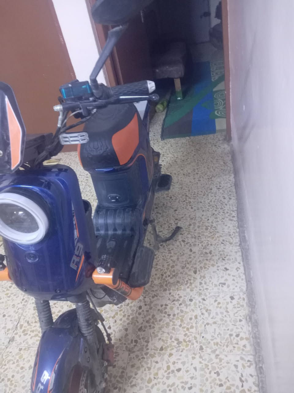 سلام عليكم درجة شحن R9 2025
دبل سويج دبل بصمه اربع نمر دراجة نضيفه مرواس مع ايفون او اس الترا


**إذا كنت صاحب هذا الإعلان وتريد حذفه لأي سبب، رجاءا أرسل رسالة إلى الدعم الفني**