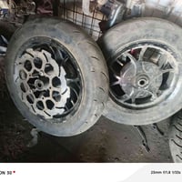 سكنس فحل • نثية • تخم ويل رياضي
