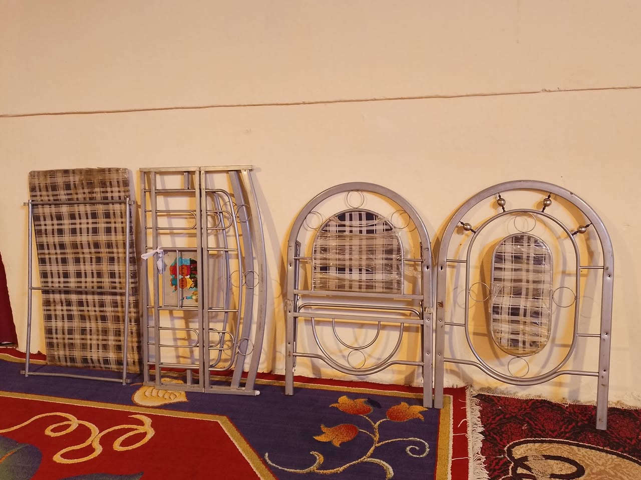 سلام عليكم  جرباية ام نف سعر 75
بيها  مجال 
  الرقم ***********عنوان بغداد حينصر رضاو
