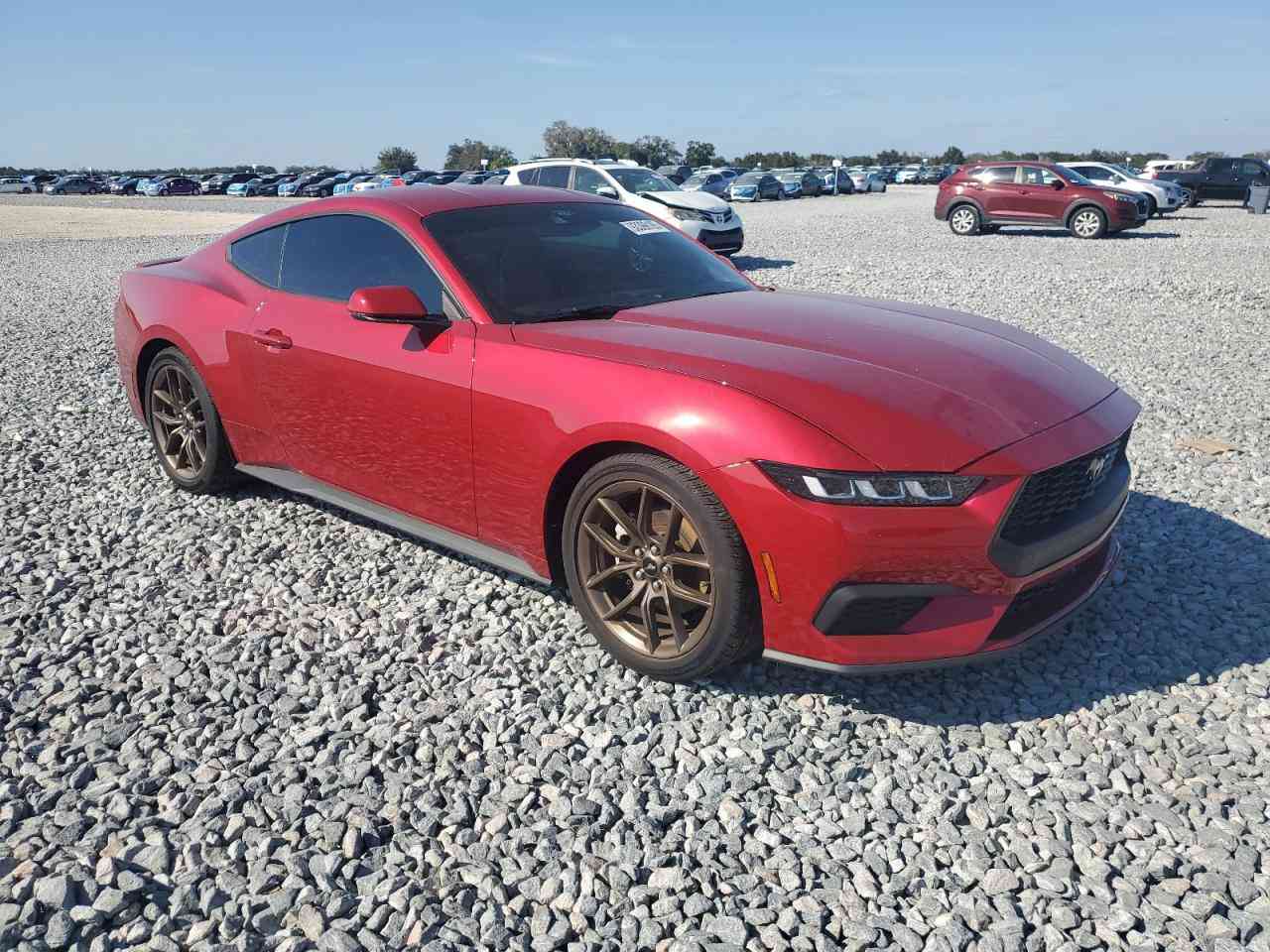 مزاد الثلاثاء 30-12-2025 
نوع السيارة : 2024 FORD MUSTANG
📌يمكن ادخالها على كتاب ذوي الشهداء📌
عداد المسافة : 18,045 mi  
حجم المحرك: 4 سلندر 2.3
ناقل الحركة : اوتوماتك
الضرر كما موضح بالصور
✅للمزايدة على السيارة الموجودة في المنشور يرجى الحضور الى مكتب الجزيرة في الساعة الخامسة عصرا.
عنوان المكتب : موصل - الفيصلية -قرب مديرية المرور 
أو الاتصال على الارقام التالية👇👇👇
       ***********  ........  ***********  
       ***********  ........  ***********
الفرع  الثاني:
 جنوب الموصل معرض الحاج خالد اللجي: ***********
