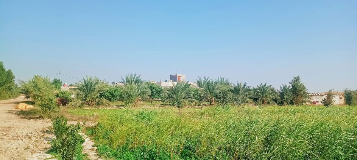 بيت للبيع مستعجل. يتكون من ثلاثة غرف. البيت جبير كلش  وحديقه اربعه دونم. انواع النخل مكان البيت القرنه الثغر قرية الصخريجه وباقي التفاصيل اتصل وبالخدمه ***********
