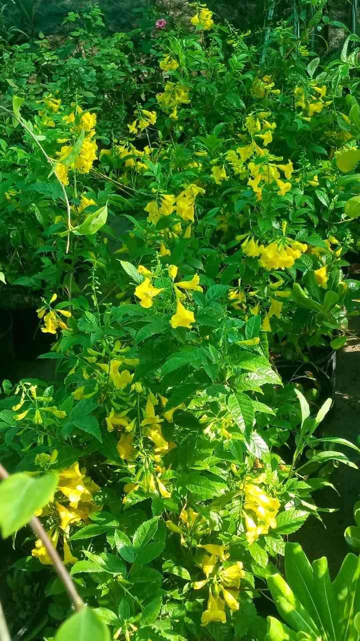 🌿🌸 عروض يوم الجمعة 🌸🌿

مشتل سيد خضير يرحب بيكم 🌱
اليوم عروض خاصة داخل المشتل على جميع أنواع الزرع والورود 🌷🪴
أسعار مناسبة وتشكيلة جميلة ترضي الجميع ✨

📍 العنوان: واسط - الصويرة - قرب محطة أم وليد
📞 للاتصال:
***********
***********

زورونا اليوم واستفادوا من عروض الجمعة 🌿

