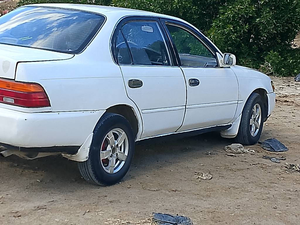 كورله موديل 1994  رقم بغداد  و الشطره, ذي قار


**إذا كنت صاحب هذا الإعلان وتريد حذفه لأي سبب، رجاءا أرسل رسالة إلى الدعم الفني**