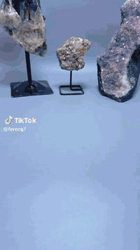 مزاد ابو العبد  تابعونا يومياً بثوث التيك توك @ferozg7  مزاد ابو العبد...