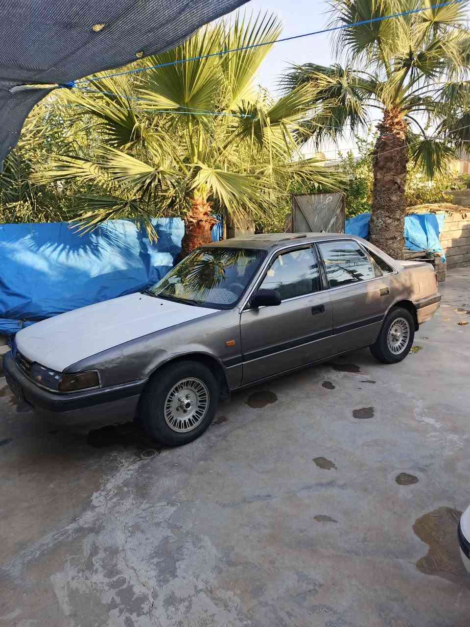 مازدا 8و به خ. موديل 1990.     626

سه ياره كه باكوو جوان ماوه تو.

جوار تايه ي تازه يه.

سه ياره كه دينار مه سرؤفي نيه

سه نه ويو +ريگه بيداني هه يه

سعري 19گلا و معامه له يه كي برايانه.

زم. ***********
گورينه وه يش اكه ين به شتي به دلمان بيت.  

شؤين كلار..... Santa Clara, CA
