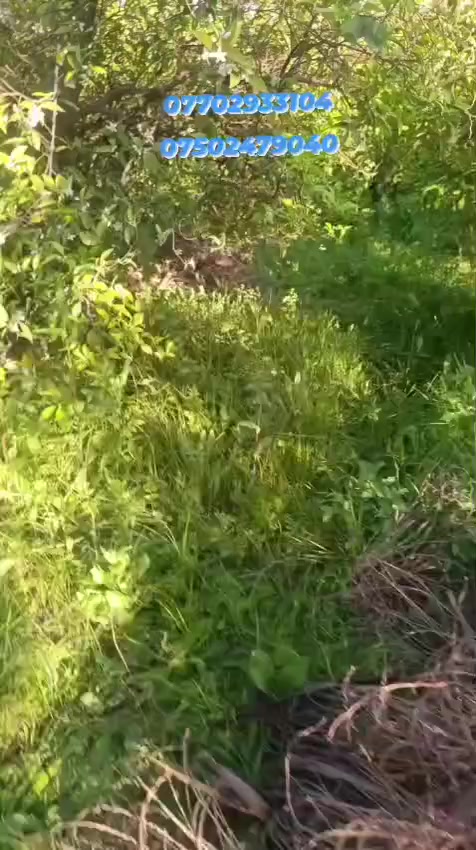 السلام عليكم 
(( بغداد دورة)) (( عرب جبور  )) غرب مشروع محي 📌
يوجد  دونم (( للبيع )) بستان من نخيل وحمضيات 🍃
 طابو زراعي سند 25 تحويل مباشر 📝من صاحب السند على طابو المحمودية 📌 الاتصال على الارقام
 ‏‪***********‬‏👤
‏‪***********‬‏👤
عرب جبور ديرتنا 
@إشارة 
عرب جبور الآن  
بغداد الان
