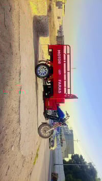 فرس ٢٠١٣ • اوراق معمره • ابو الخصيب