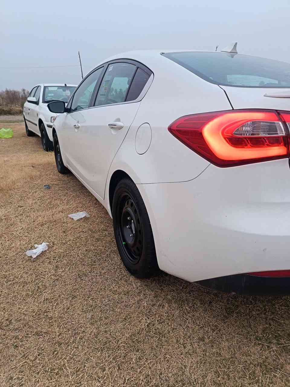 السلام عليكم فورتي  موديل14  بدون حادث كلين  فول مواصفات مراوس بسني هندي  رقم بغداد اربيل ما اريد مكاني كربلاء المقدسة


**إذا كنت صاحب هذا الإعلان وتريد حذفه لأي سبب، رجاءا أرسل رسالة إلى الدعم الفني**