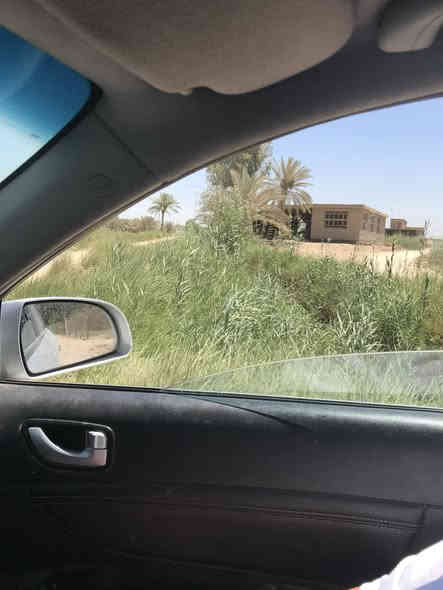 السلام عليكم 
بستان 
بيع او مراوس
مساحة  دونم مع هيكل مسقف تحت البناء ٣٢٠ متر طابو زراعي تحويل اسهم بأسم المشتري تبعد  عن شارع العام كربلاء طويريج تقريباً ١٠٠٠ متر من جهة سايد الدخول وعن شارع الابراهيمية وقناة كربلاء ١٠٠٠ متر وعن الامام ١١ كيلو متر اسم المنطقة الدخانية الغربية للاستفسار الاتصال على الرقم 
***********
